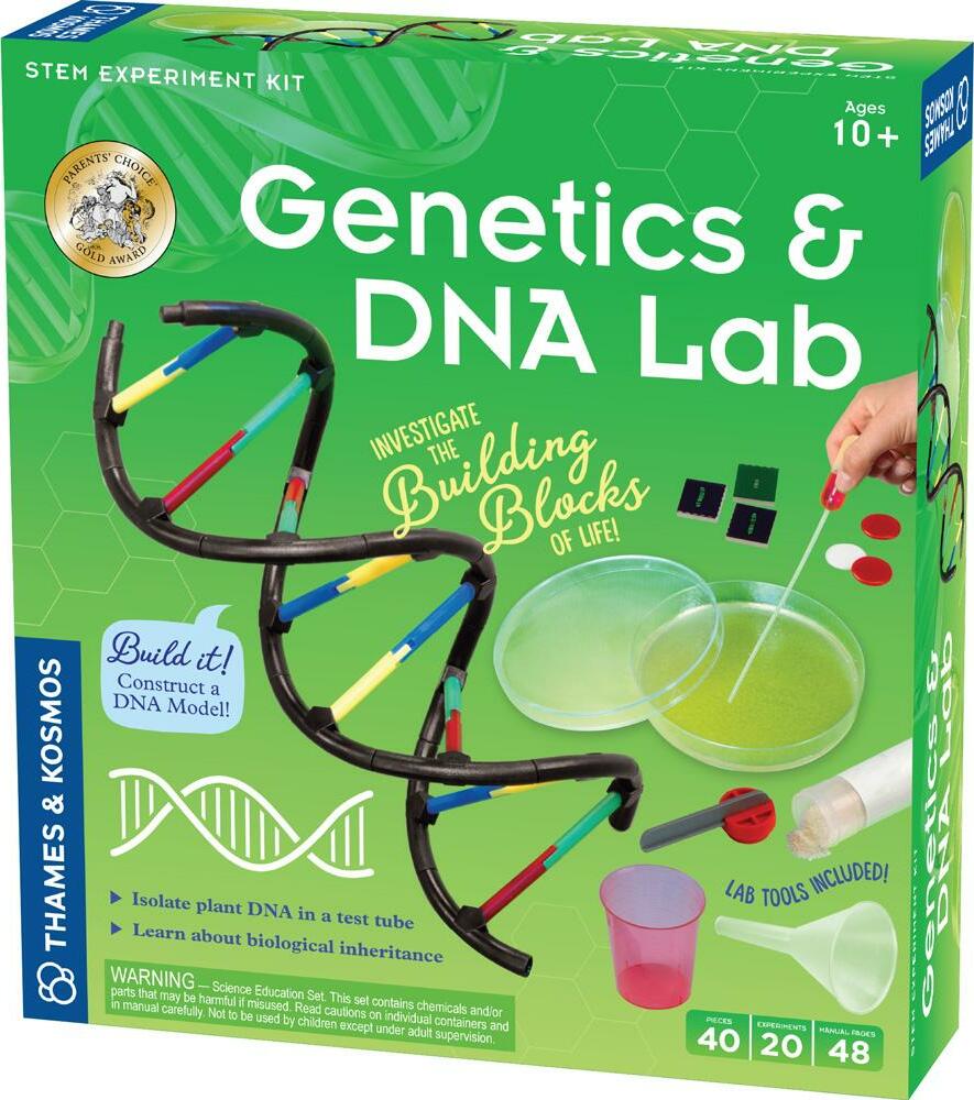 Genetics Dna Lab