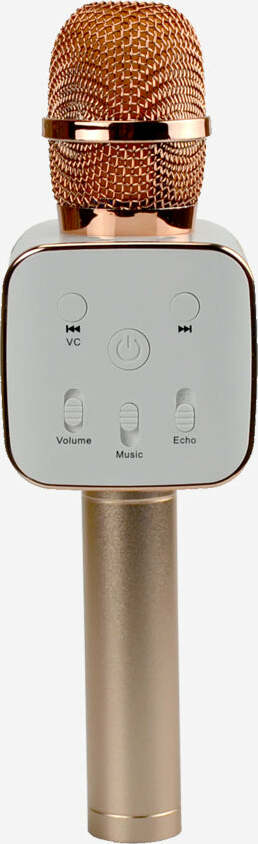 Sing A long Pro 3 Karaoke Mic - RG