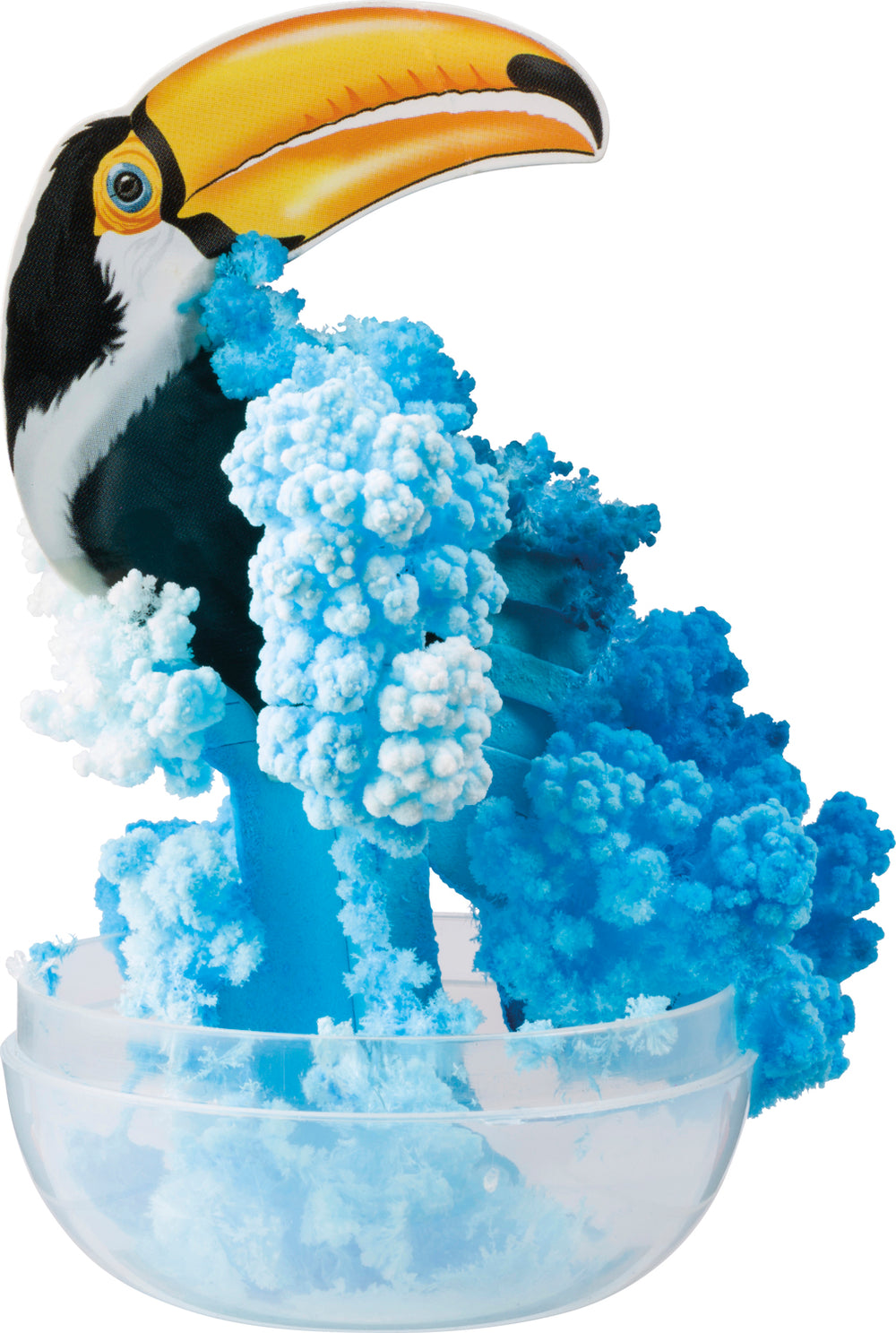 AMAZING GROW TROPICAL BIRDS 