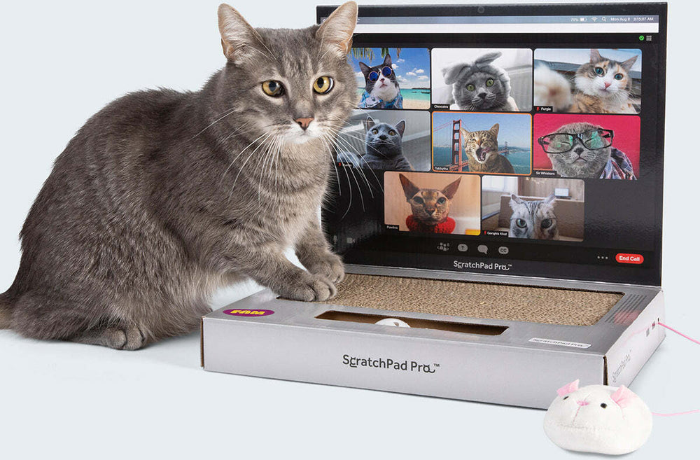 ScratchPad Pro — Cardboard Laptop Cat Scratcher