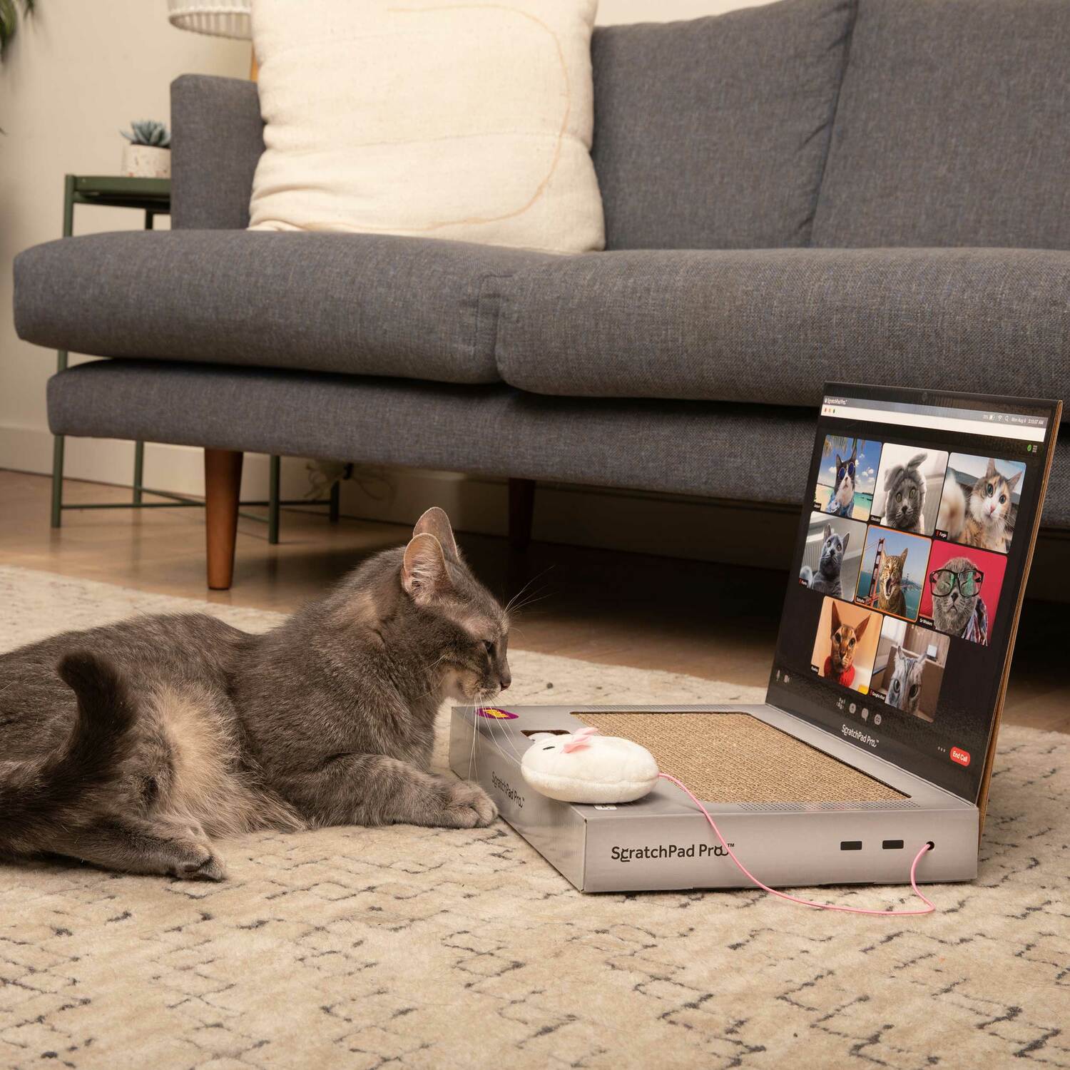 ScratchPad Pro — Cardboard Laptop Cat Scratcher