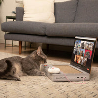 ScratchPad Pro — Cardboard Laptop Cat Scratcher