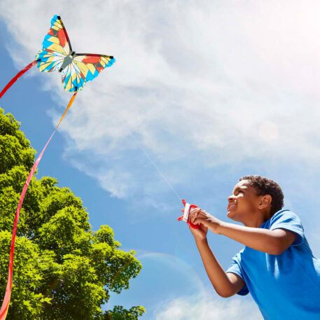 Mini Butterfly Kite